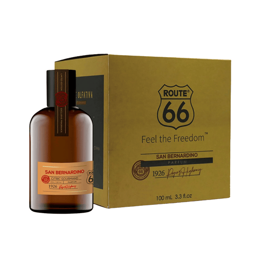 Perfume San Bernardino Route 66 Viking 100ml - Shopmano